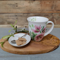 classic helleborus mok